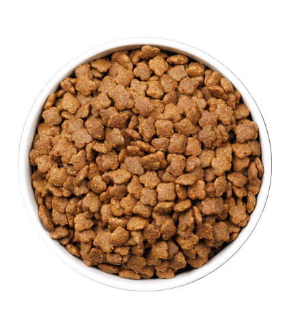 detail-ULTRA CAT YOUNG_3KG_PLATO