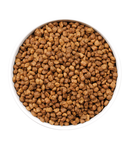 detail-ULTRA CAT KITTEN_3KG_PLATO