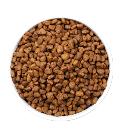 detail-ULTRA CAT AGEING FISH_3KG_PLATO