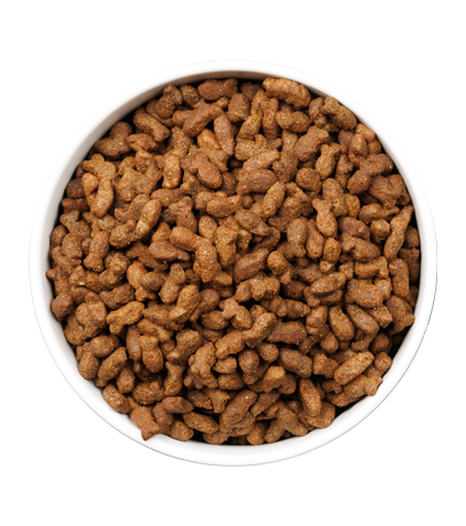 detail-ULTRA CAT YOUNG STERILIZD FISH_3KG_PLATO